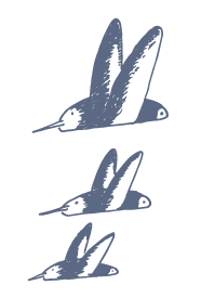 oiseaux-aude