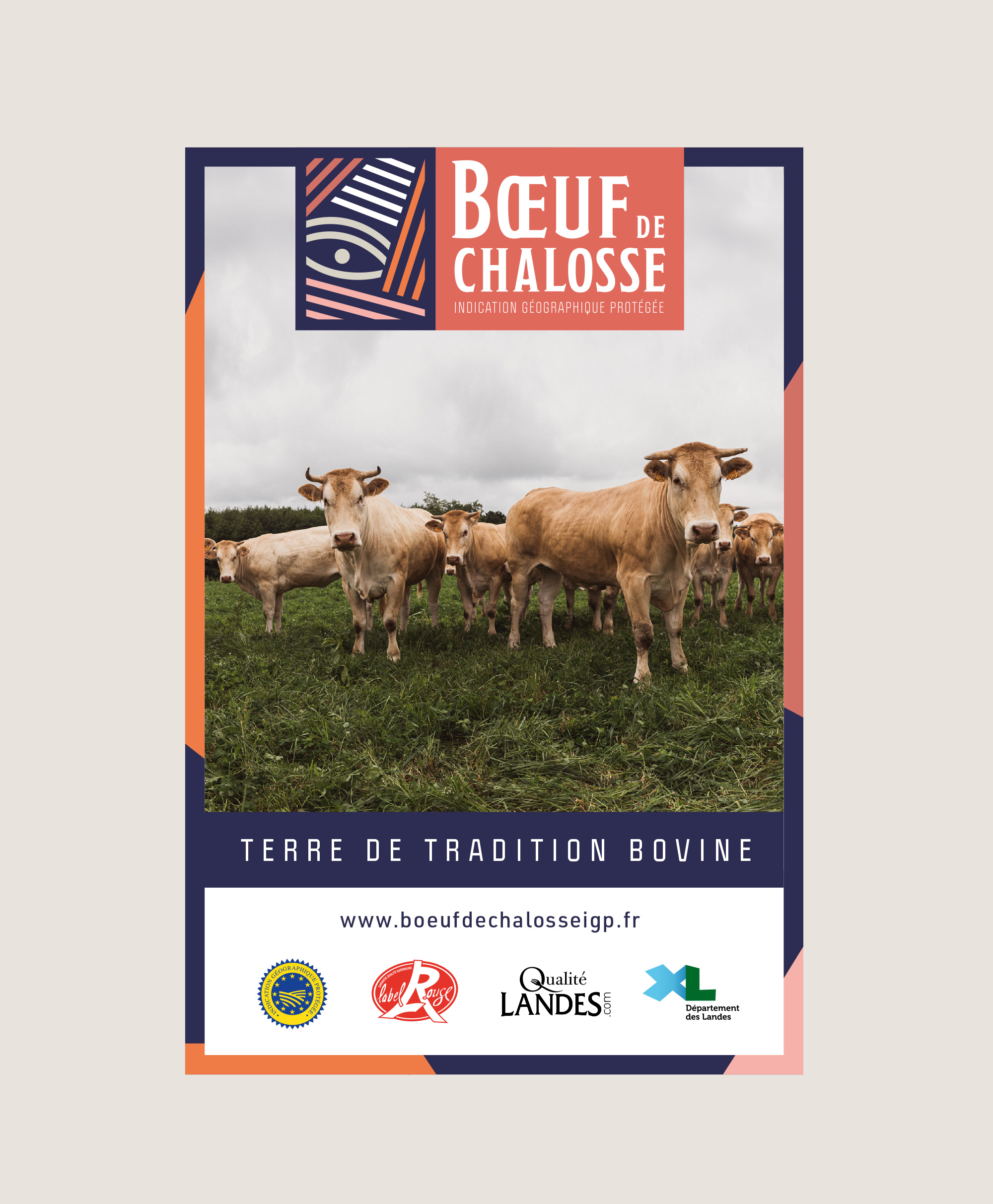 identite marque boeuf chalosse landes3 v2