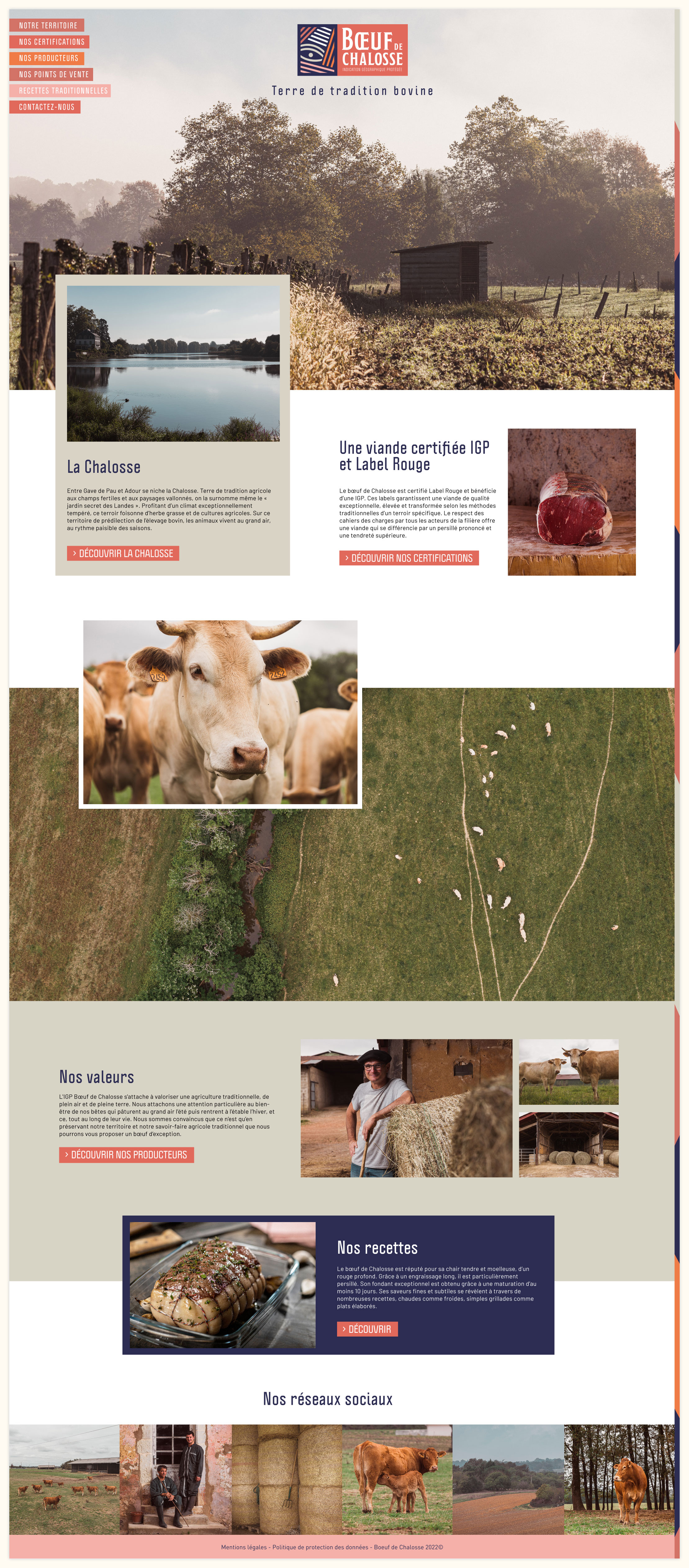 site web boeuf chalosse landes1 v2